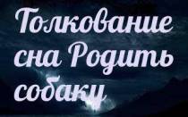 К чему снится родить собаку